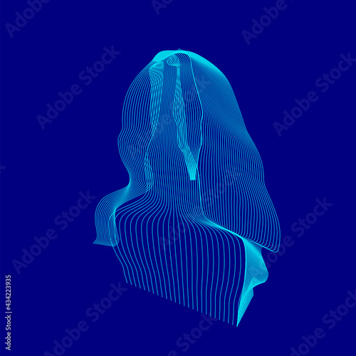 This is an image of backside of woman hair.