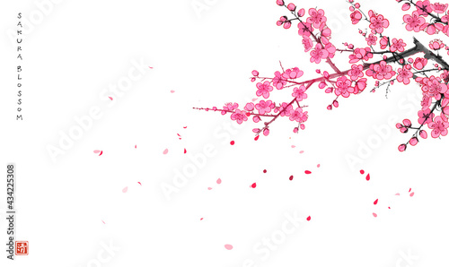Blossoming sakura branch and falling petals. Traditional oriental ink painting sumi-e, u-sin, go-hua. Hieroglyph - clarity.