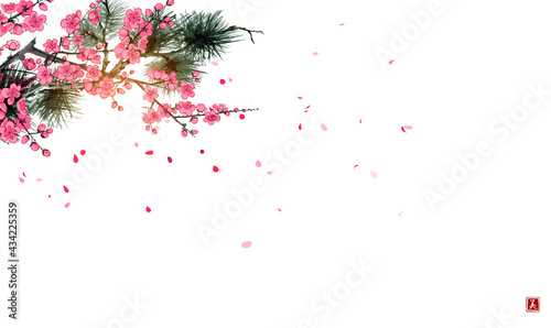 Pine tree branch and blossoming sakura tree on white background. Traditional oriental ink painting sumi-e, u-sin, go-hua. Hieroglyph - beauty.