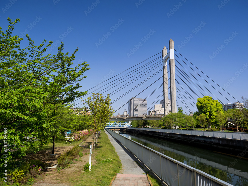 春の木場公園を流れる仙台堀川