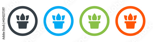 Plant in pot icon button in color design.