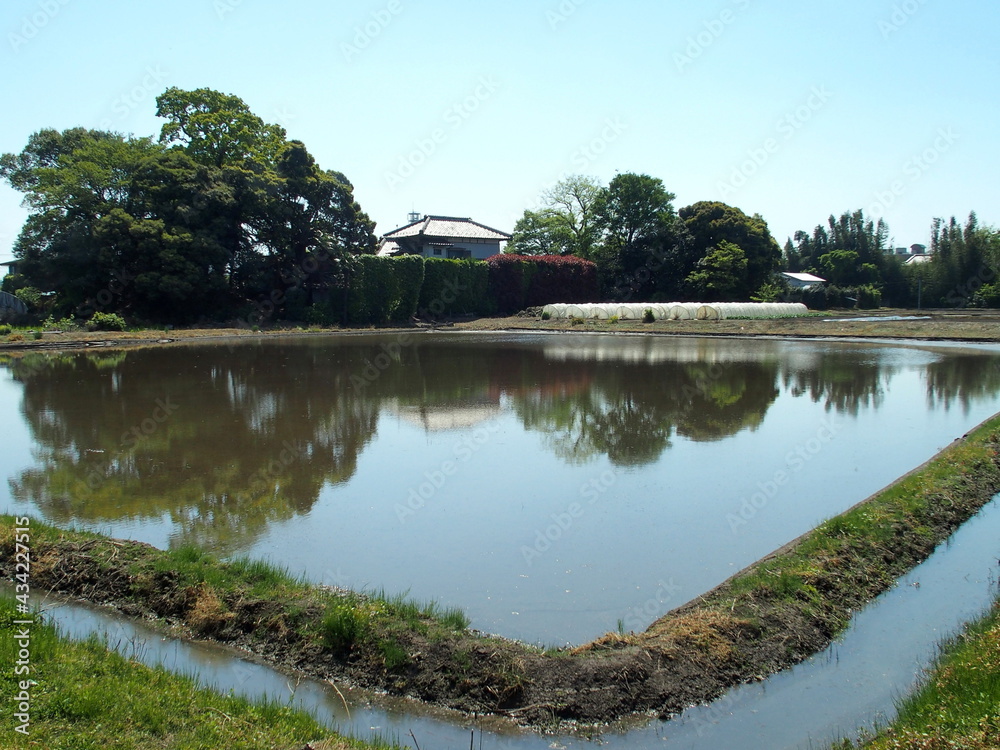 Fototapeta premium 春の近郊の代田風景