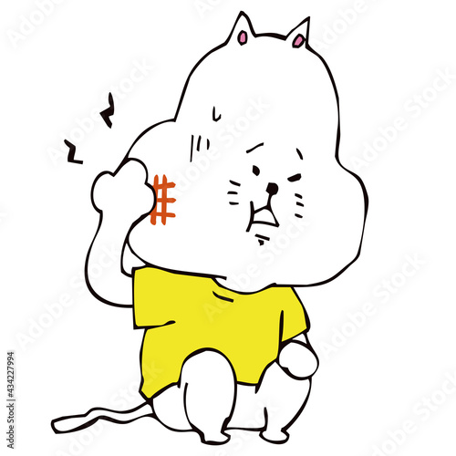 歯が痛い猫