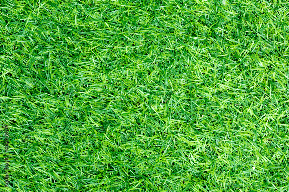 Green artificial grass nature background