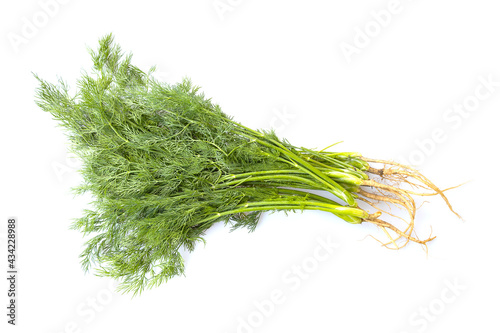 Fresh green organic dill isolated on white background