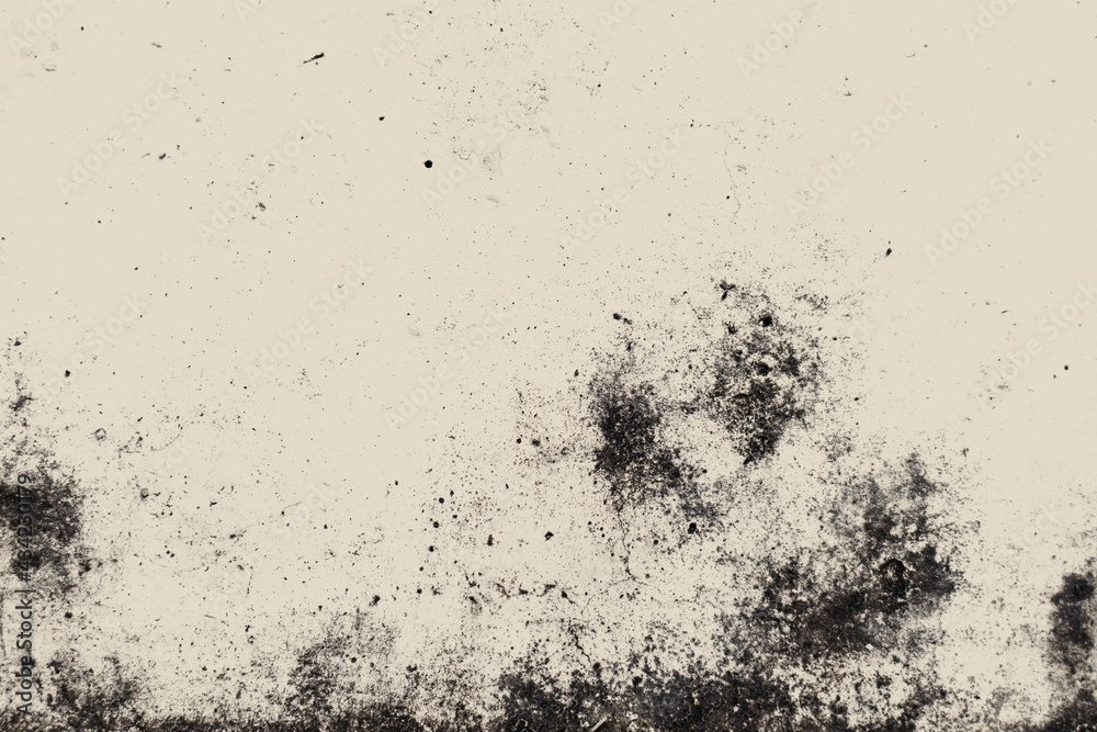 Abstract texture of old concrete wall,Grunge cement textured abstract background,Scratch old wall, Close up dirty and rough texture Abstract texture of old concrete wall,Grunge cement textured abstract background,Scratch old wall, Close up dirty and rough texture