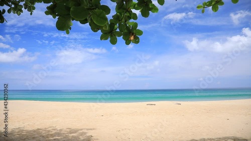 Phuket tropical beach in the tourist season of Thailand beautiful blue sky The view of the sea in the frame of the green leaves and the shadows of the trees. Can see waves from a distance.