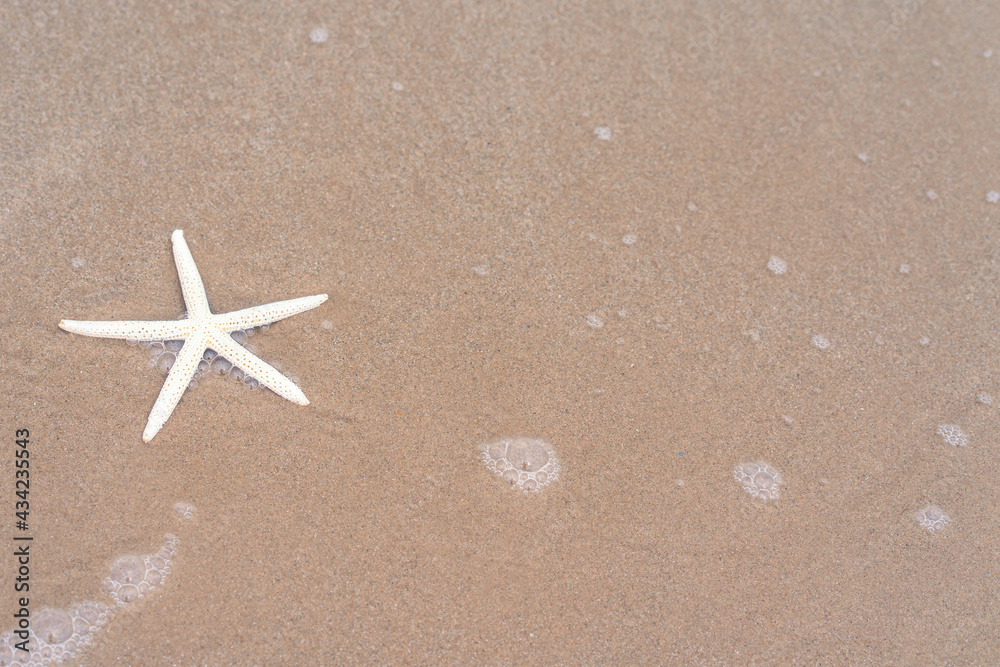 Starfish on sandy beach in summer with sea background Starfish on sandy beach in summer with sea background