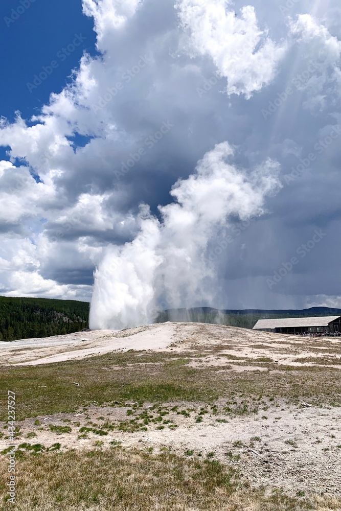 geyser in park national park