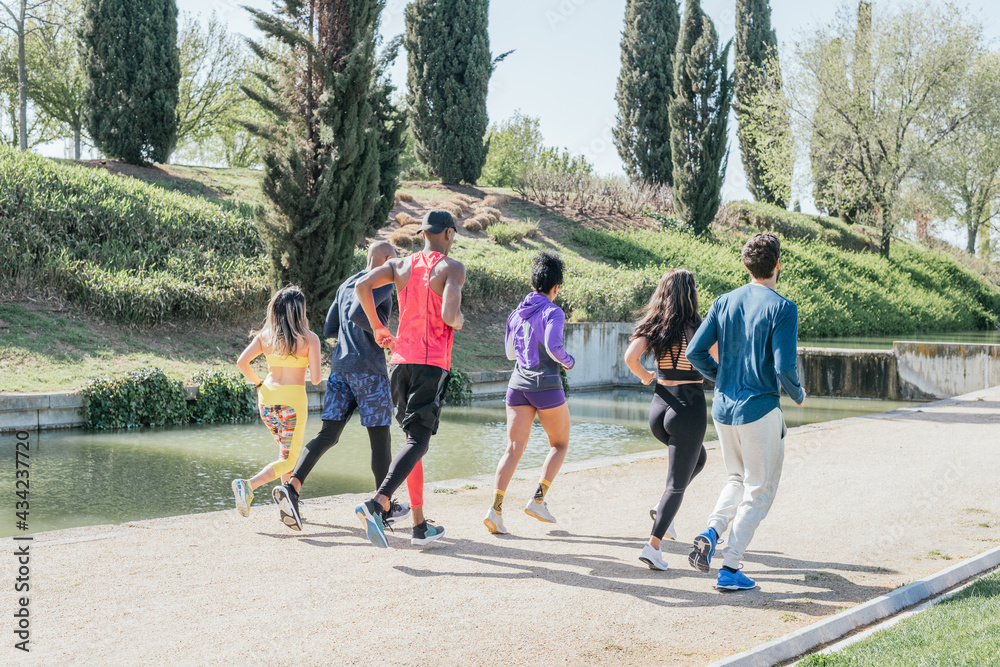 Fototapeta premium Group of runners training in a park. Rear view, back to camera.