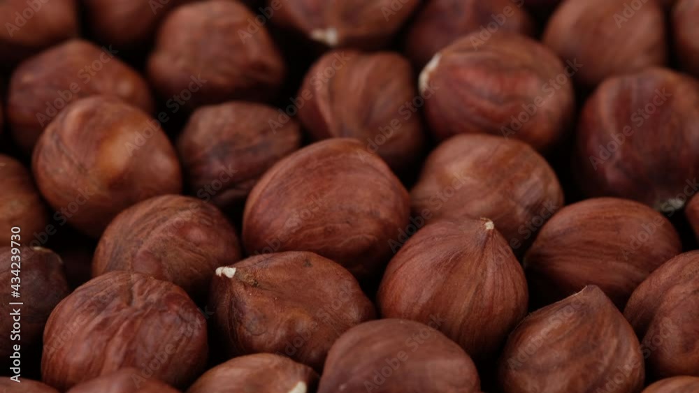 hazelnuts close up. Healthy food concept. Sliding shot. 4K UHD video hazelnuts close up. Healthy food concept. Sliding shot. 4K UHD video