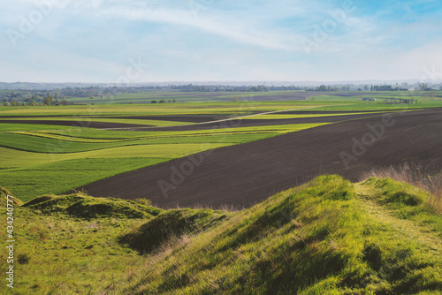 Landscape hill of fields and meadows
