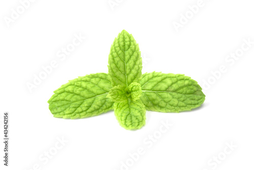 peppermint isolated on white background.