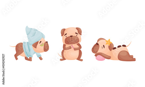 Cartoon Pug Dog Character Grooming Doing Spa Procedures and Polishing Nails Vector Set