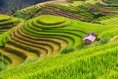 Rice fields on terraced beautiful shape of Mu Cang Chai, YenBai, Vietnam.
