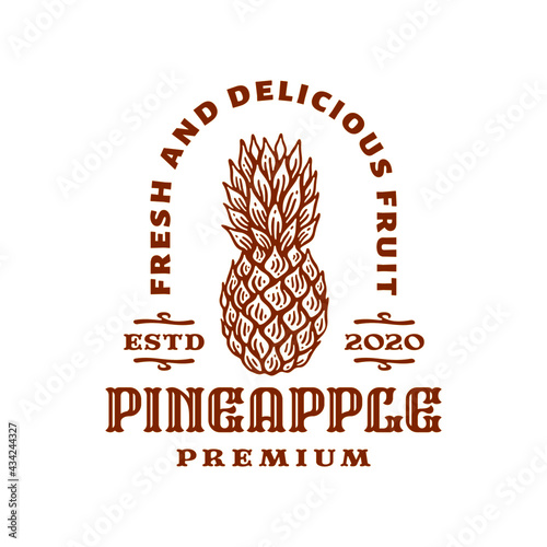 logo emblem of pineapple fruit in doodle vintage design