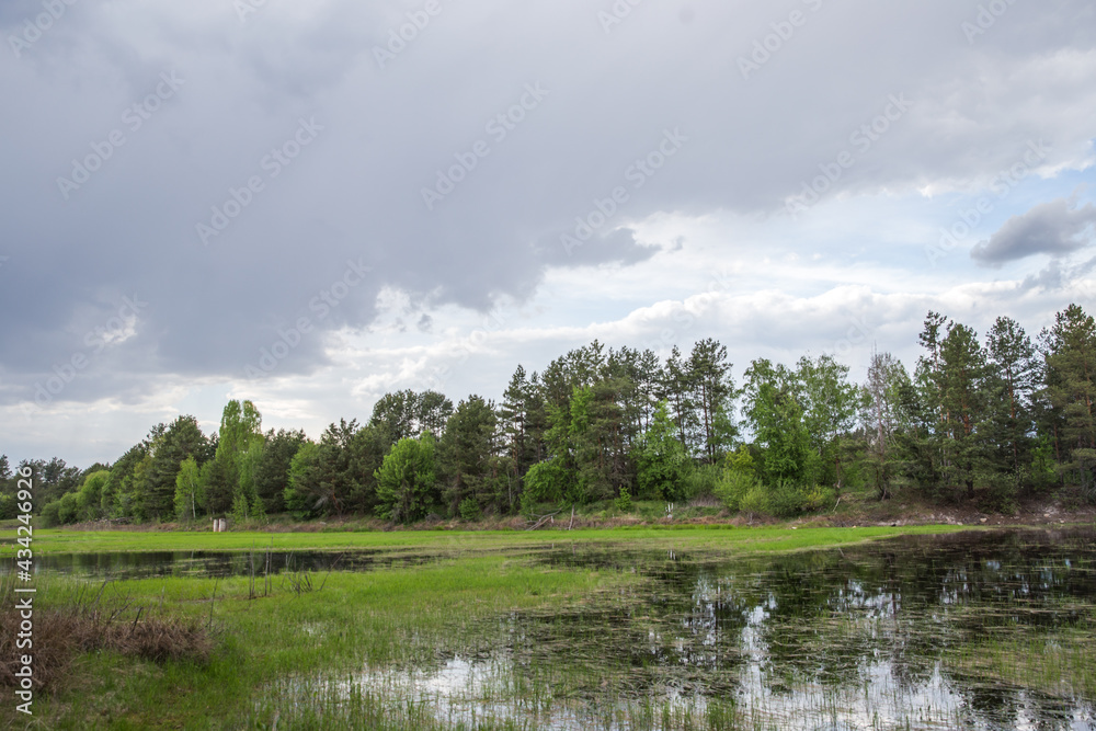 lake in the woods