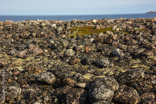 Dragon Eggs Beach. Pebble beach on the southern coast of the Arctic Ocean, Teriberka, Murmansk region.