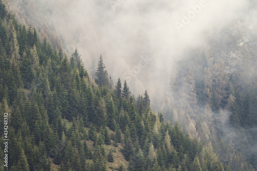 mist in the mountains