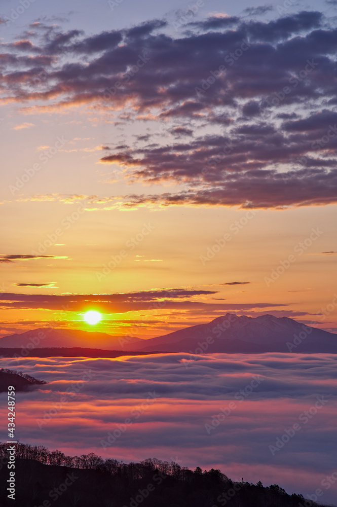 Fototapeta premium 輝く朝陽の下に雲海の広がるドラマチックな夜明け。日本の北海道の美幌峠。