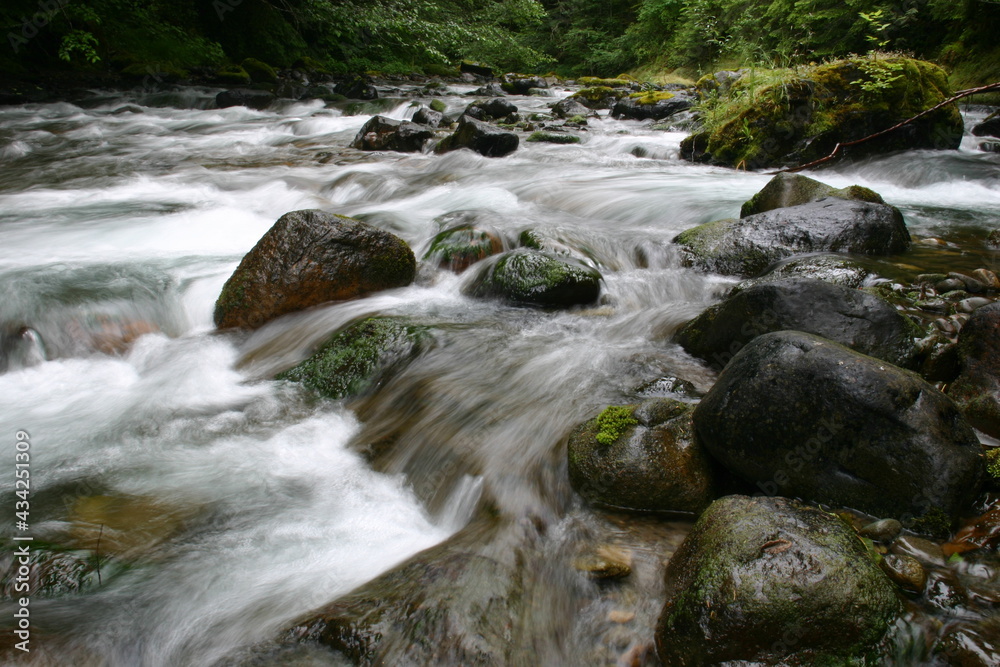 River Rapids in a Northern California Forest with Trees and Mossy Rocks at Slow Shutter Speed Enhancing Water Motion