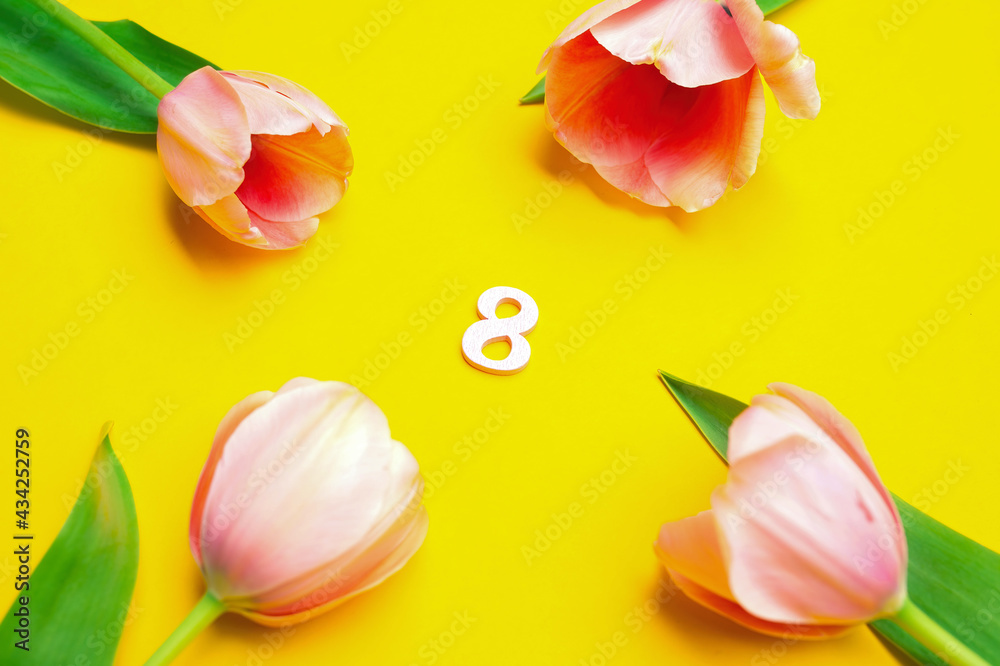 Pink tulips on yellow background