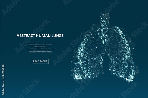 Abstract human lungs