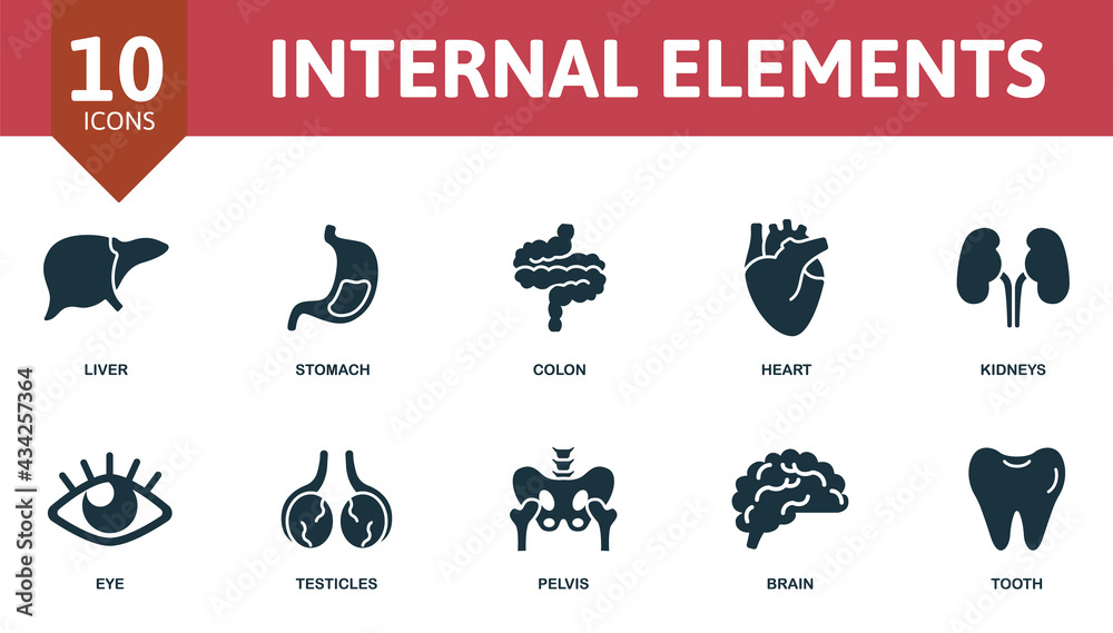 Fototapeta Internal Elements icon set. Contains editable icons internal organs theme such as liver, colon, kidneys and more.