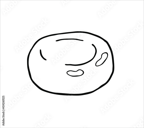 Caramel candies. Isolated vector on a white background.