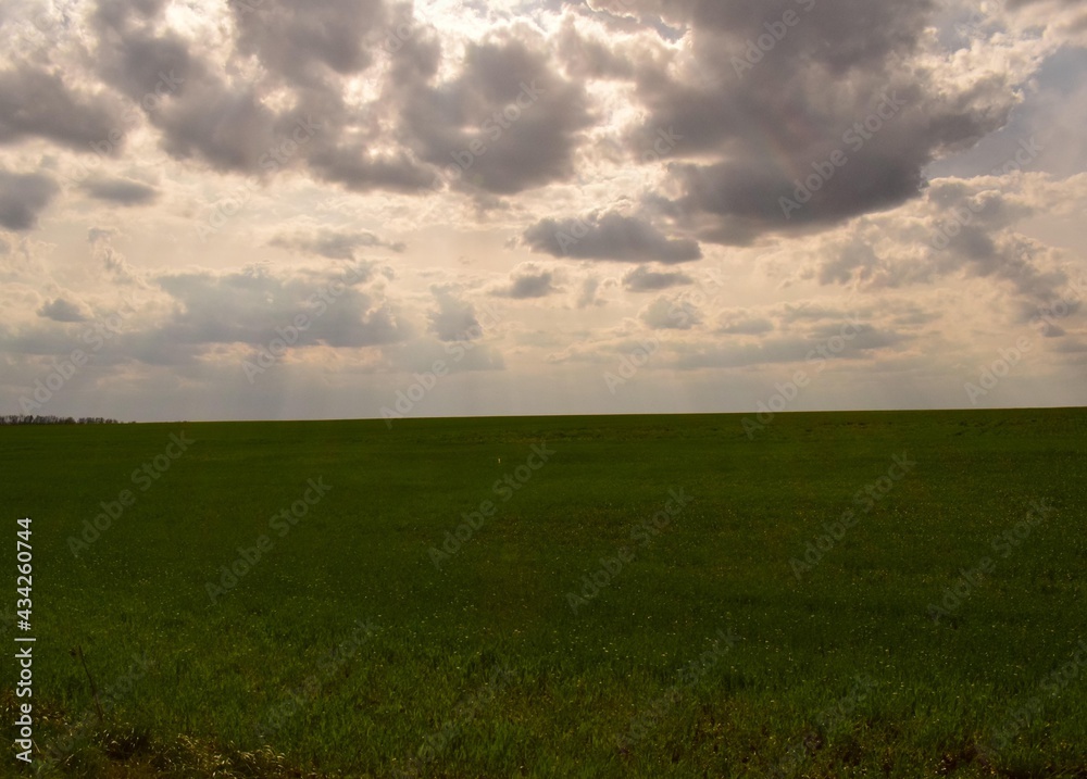  large green clearing in spring with fresh grass and cumulus clouds and