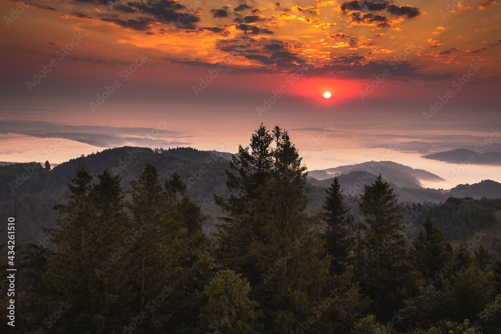 Fototapeta premium Summer morning seen from the observation tower in Koziarz in the Beskid Sądecki. Natural landscapes with great views.