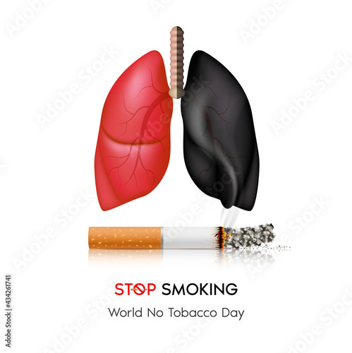 Dangers of smoking. Smoking effect on human lung. Stop smoking, World No Tobacco Day. Illustration on white background.