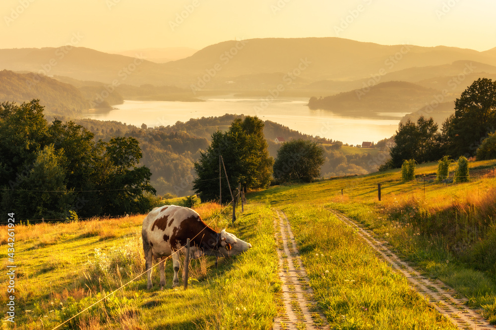 Fototapeta premium A warm summer sunset in the Rożnowskie Foothills, near Nowy Sącz. Poland, Lesser Poland Voivodeship.