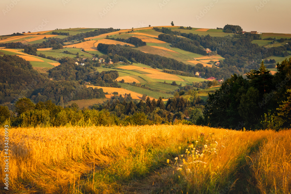 A warm summer sunset in the Rożnowskie Foothills, near Nowy Sącz. Poland, Lesser Poland Voivodeship.