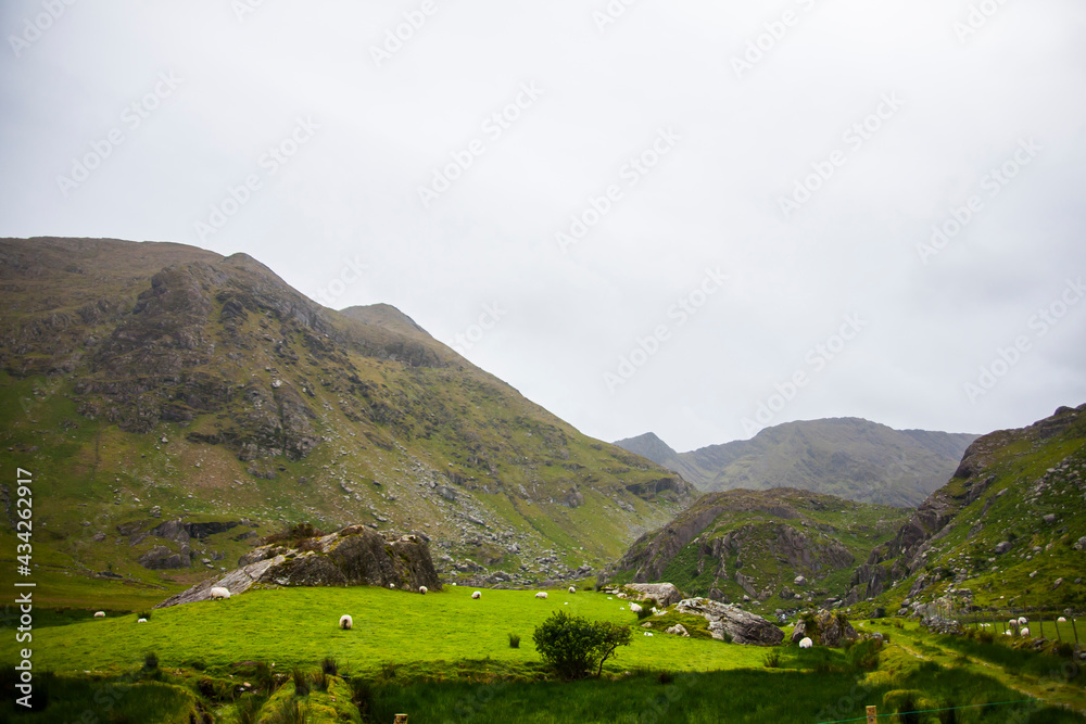 Obraz premium Spring landscape in the lands of Ireland