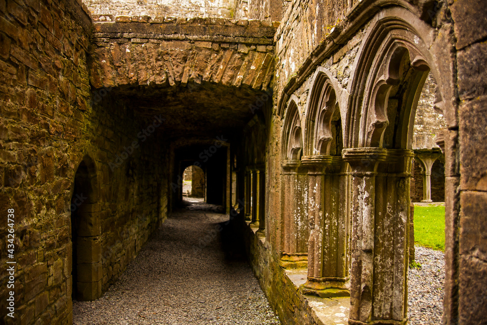 Spring in Bective Abbey (Mainistir Bheigti), Ireland