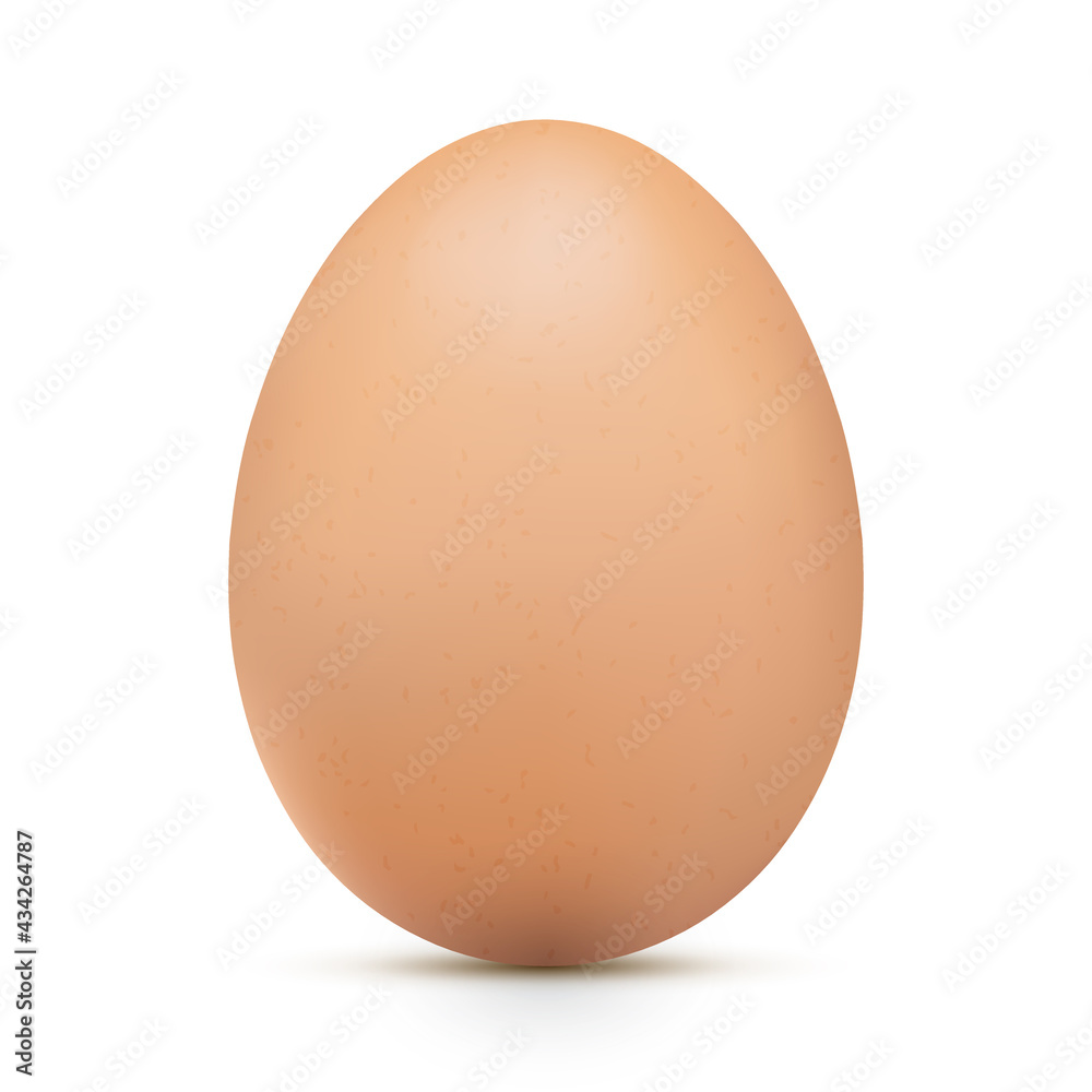 One big egg in horizontal view. Realistic chicken brown egg with shadow. Closeup 3d whole hen egg isolated on white background. Illustration JPG image One big egg in horizontal view. Realistic chicken brown egg with shadow. Closeup 3d whole hen egg isolated on white background. Illustration JPG image