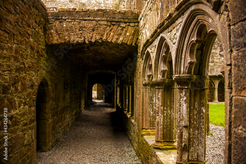 Spring in Bective Abbey  Mainistir Bheigti   Ireland