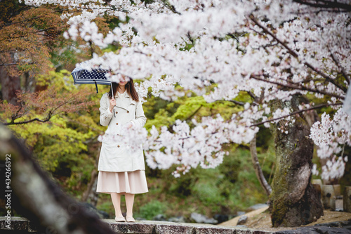 Japan, cherry blossom 