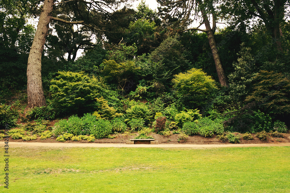 path in the park