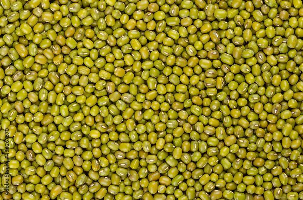 Mung beans, background, from above. Also known as green gram, maash, moong, monggo or munggo. Whole, dried, raw seeds of Vigna radiata, a legume, used cooked or sprouted. Backdrop. Macro, food photo. Mung beans, background, from above. Also known as green gram, maash, moong, monggo or munggo. Whole, dried, raw seeds of Vigna radiata, a legume, used cooked or sprouted. Backdrop. Macro, food photo.