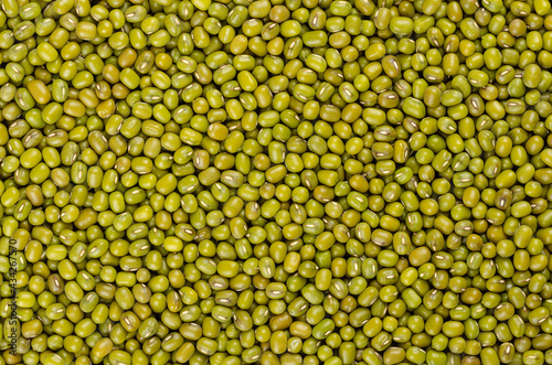 Mung beans, background, from above. Also known as green gram, maash, moong, monggo or munggo. Whole, dried, raw seeds of Vigna radiata, a legume, used cooked or sprouted. Backdrop. Macro, food photo.