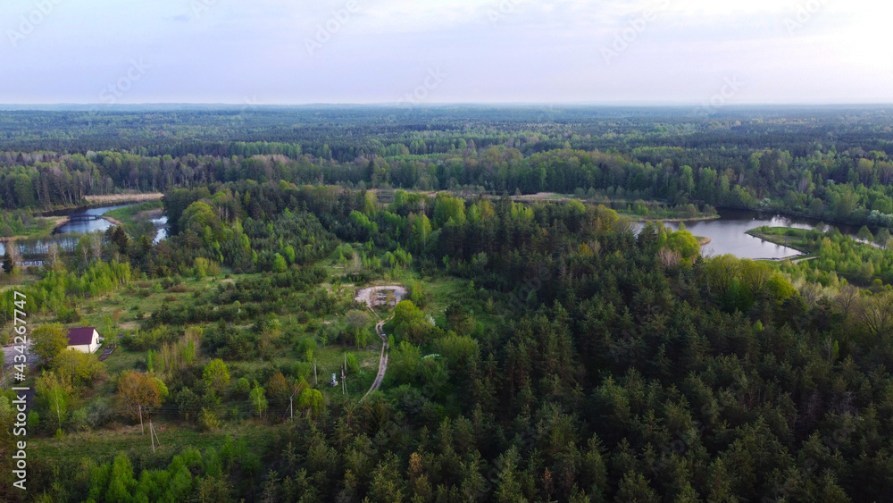 View from a height to the green summer forest