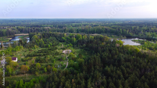 View from a height to the green summer forest