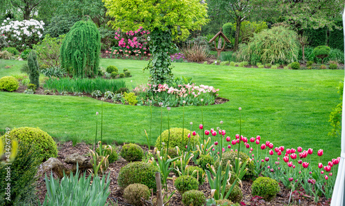 Zielony ogród pełen kwitnących kiatów