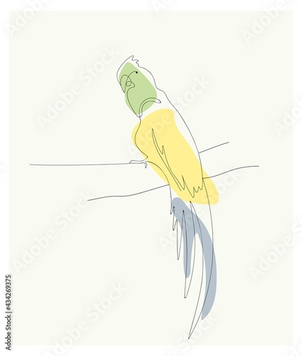 the parrot is colored in one line