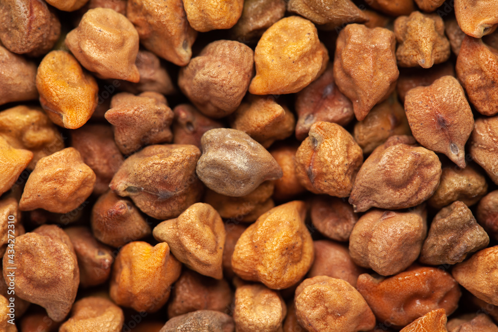 micro Close-Up of Organic chana or chickpea (Cicer arietinum) or whole white Bengal gram Full-Frame Background. Top View