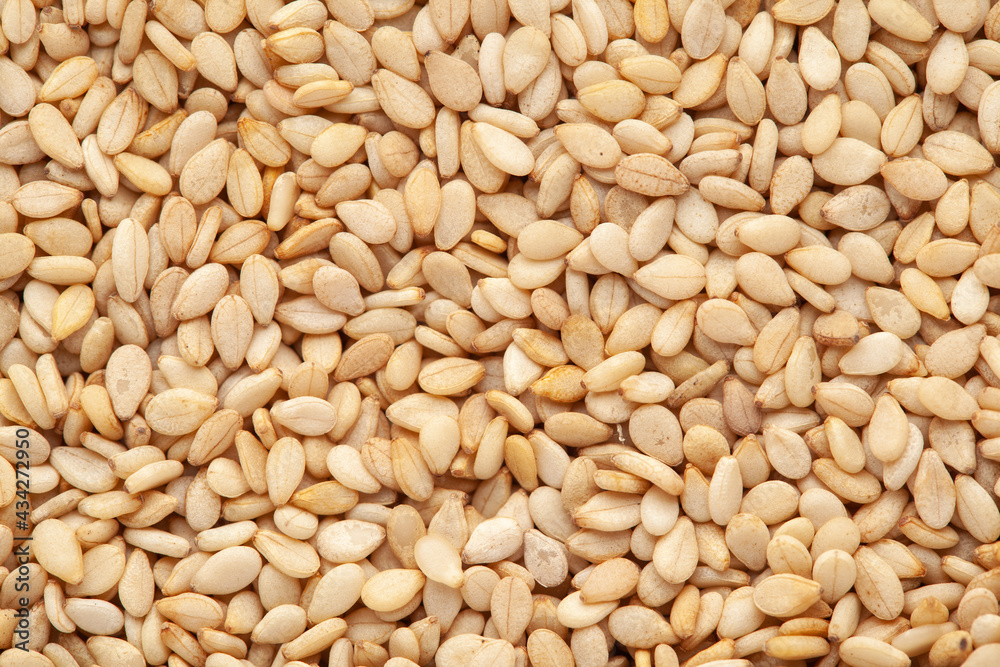 micro Close-up of Organic White Sesame seeds(Sesamum indicum) or white Til with shell Full-Frame Background. Top View micro Close-up of Organic White Sesame seeds(Sesamum indicum) or white Til with shell Full-Frame Background. Top View