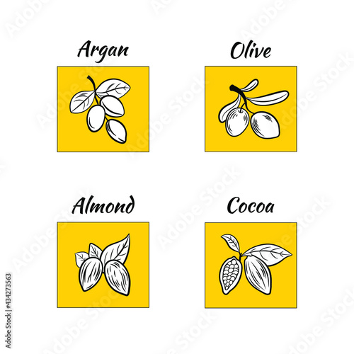 Vector set of different oil icons, argan, almond, olive and cocoa, plants, colorful yellow backgrounds.
