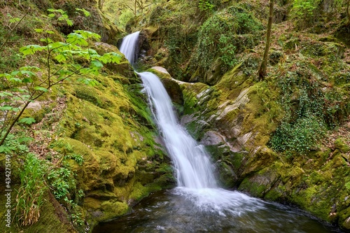 Dolgoch falls near the town of Tywyn in Gwynedd, Mid Wales photo